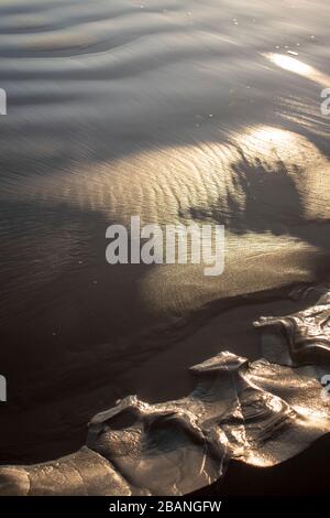 The rocks at Muir Beach in Marin County have interesting textures Stock ...