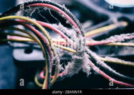 Old computer system unit with dust inside Stock Photo