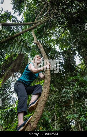 A woman climbing a tree in Entebbe Botanical Gardens, Uganda Stock Photo