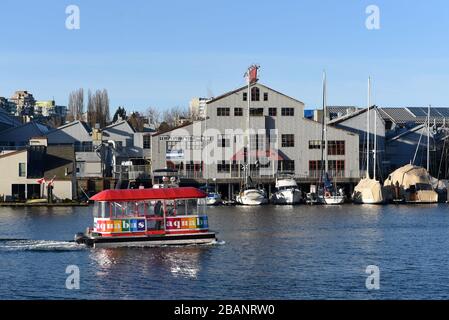 Vancouver, Canada - March 4, 2020: Man drives Aquabus False Creek Ferry that takes passengers from downtown Vancouver to Granville Island. Stock Photo
