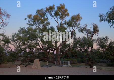 The Dig Tree at the waterhole of Burke and Wills fame Coopers Creek ...