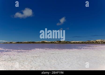 'The Pink Lake' which is a section of Lake MacDonnell near Penong South Australia which has one of the worlds largest gypsum deposits. Stock Photo