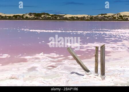 'The Pink Lake' which is a section of Lake MacDonnell near Penong South Australia which has one of the worlds largest gypsum deposits. Stock Photo