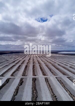 Lake MacDonnell is a salt lake on western Eyre Peninsula near the Nullarbor Plain Australia. The closest town is Penong. It is the site of a former sa Stock Photo