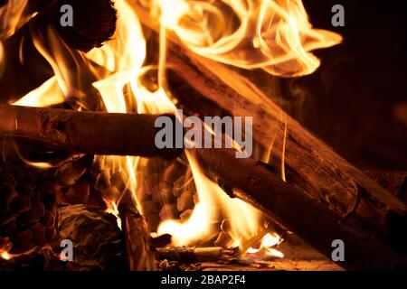 a close up view of firewood and pinecone on fire flames on the barbeque Stock Photo