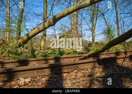 Fallen tree on railway during a storm Stock Photo