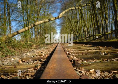 Shallow fallen tree on railway during a storm Stock Photo