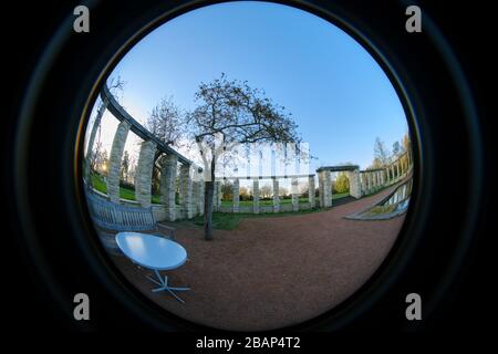 Ultra wide circular fisheye view of a tree and table in a park in Dusseldorf Stock Photo