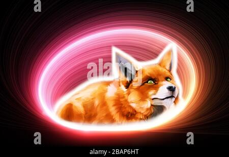 Abstract 3d illustration of a painting of a wild fox in a swirl lights Stock Photo