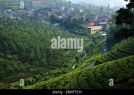 Tea plantation and urbanisation in India Stock Photo