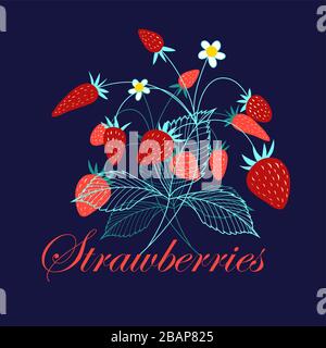 Bright vector card with delicious strawberries on a dark background Stock Vector