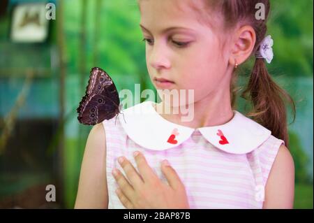little girl with big butterfly on her shoulder Stock Photo