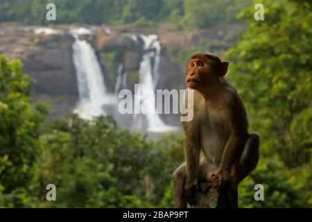 Athirappallly water falls in kerala,India Stock Photo