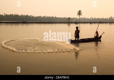 Fishing with a cast net or throw net in backwaters kerala, India