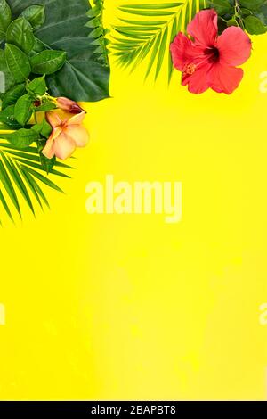 Mix of green tropical leafs and red hibiscus flower on yellow background. Summer exotic concept, vertical composition Stock Photo