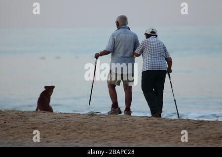An elderly couple strolled hand in hand along the shoreline.Stray dog watching them. Stock Photo