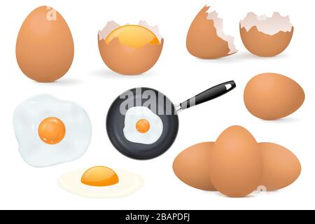 Chicken eggs. Raw and fried eggs, whole and broken shell Stock Vector