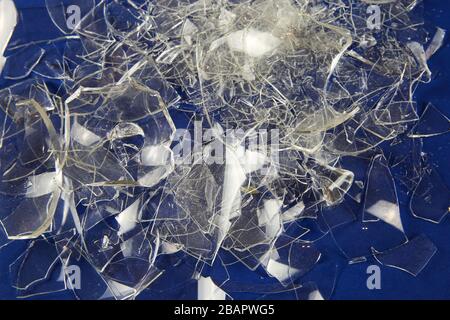 Shattered into 1000 shards concept: View on isolated pile broken glass fragments, blue background Stock Photo