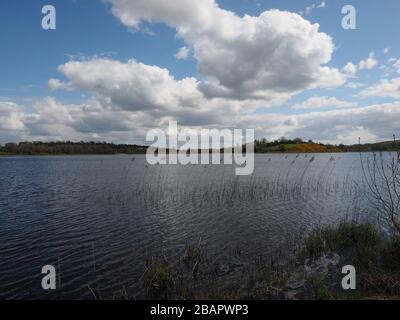 Loch Gowna lake, Lakeside Paradise, Longford, Republic of Ireland ...