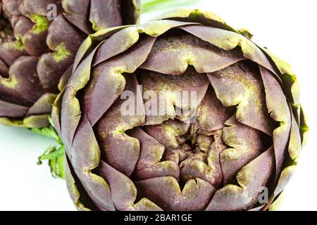 fresh globe artichokes on white copy space closeup Stock Photo