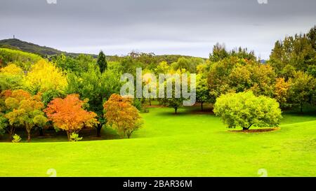 Mount Lofty botanic garden during autumn season, Crafers, South Australia Stock Photo