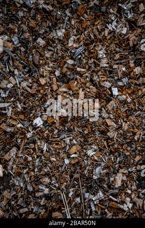 wood chips on the ground Stock Photo