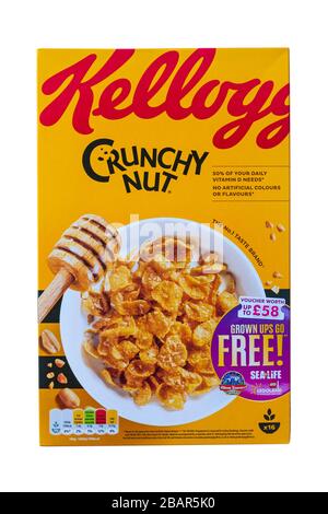 box of Kellogg Crunchy Nut cereals isolated on white background - Kelloggs cereal Kellogs cereal Kellogg cereal - cereal box, cereal packet, cereals Stock Photo