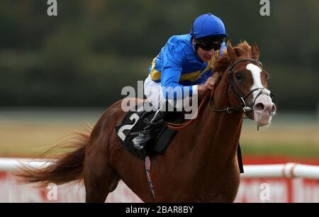 Correspondent ridden by jockey Eddie Ahern wins the Natwest Irish Stallion Farms E.B.F. Maiden Stakes on the All Weather Track at Lingfield Park Racecourse Stock Photo