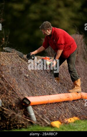 Preparations are made to the jumps course at Lingfield Park Racecourse Stock Photo