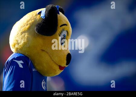 Birmingham City mascot Belle Brummie Stock Photo