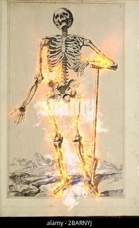 Digitally enhanced image of a Male full body front skeleton woodcut print at the opening of the Human Anatomy book 'Notomie di Titiano' Printed in Ita Stock Photo