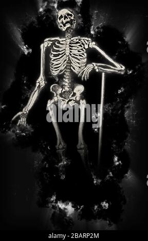 Digitally enhanced image of a Male full body front skeleton woodcut print at the opening of the Human Anatomy book 'Notomie di Titiano' Printed in Ita Stock Photo