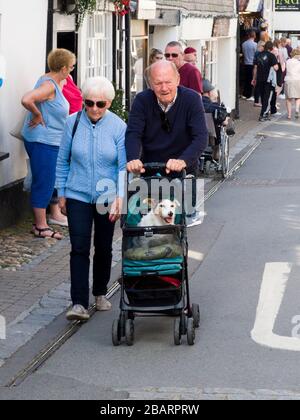 Old couple pushing pet dog in pushchair, Looe, Cornwall, UK Stock Photo