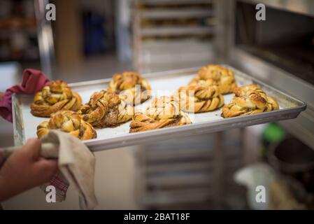 babka preparation on a french bakary Stock Photo