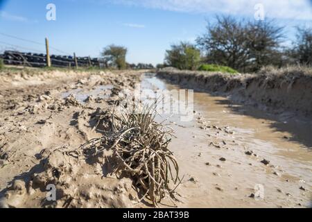 Deep ruts in farm track filled with muddy water following heavy rain in the South Downs National Park. Stock Photo