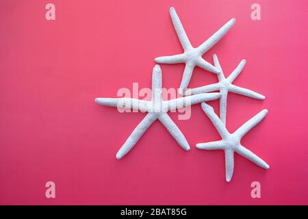 big sea-star isolated on red background, top view  Stock Photo