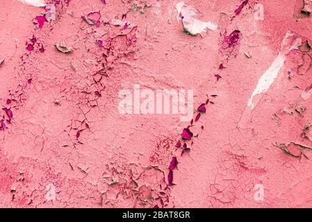 Fragment of old house wall close-up. Pink background. Peeling plaster on concrete surface. Cracks in paint. Copy space. Place for text. Selective Stock Photo