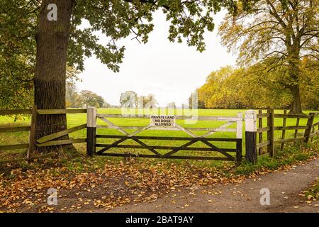 Private land, no dogs allowed, sign on farm land gate in Cheshire UK Stock Photo
