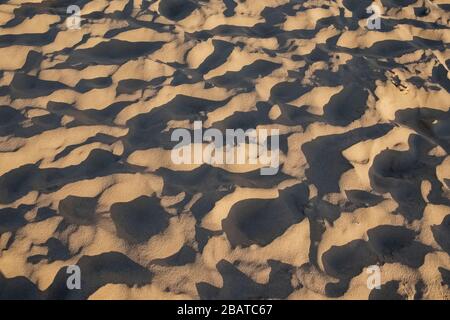 Beach sand in natural sunset light. Stock Photo