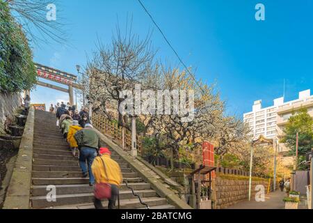 tokyo, japan - march 02 2020: People climbing Otokozaka stairs meaning the stairs reserved for men because of their stiffness leading to the Yushima T Stock Photo