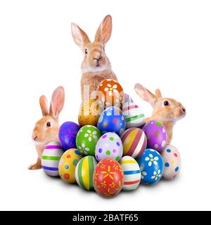 Three curious funny Easter Bunnies peeking hiding pile painted decorated ornate Easter Eggs. Easter Egg Hunt Game Bunny isolated white background Stock Photo