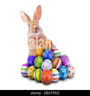 Curious cute funny Easter Bunny Easter Rabbit peeking behind pile painted decorated ornate Easter Eggs Easter Egg Hunt Game isolated white background Stock Photo