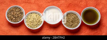 collection of hemp seed products: hearts, protein powder, milk and oil in small white bowls against textured orange paper, panoramic web banner, super Stock Photo