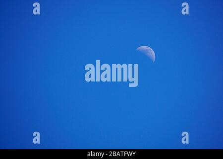 Crescent moon in a clear blue afternoon sky Stock Photo