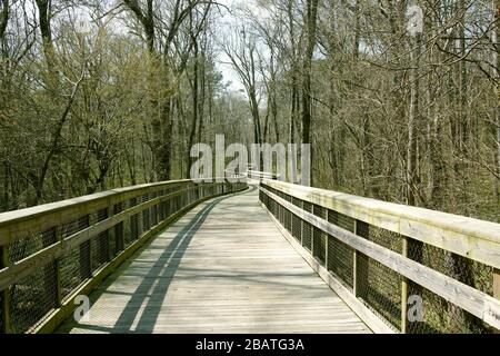 A greenway trail curving through the trees in Raleigh, North Carolina Stock Photo