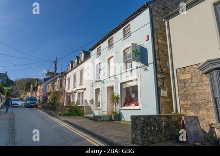 View of Market Street (Heol Y Farchnad) in Newport, Pembrokeshire. Wales. UK Stock Photo