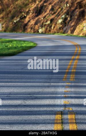 The rising sun casts long shadows across the Blue Ridge Parkway in Asheville, NC, USA. Stock Photo