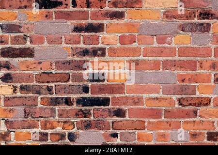 Brick wall, by James D Coppinger/Dembinsky Photo Assoc Stock Photo