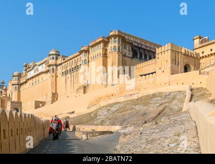 Elephant rides on the path up to the Amber Fort, Jaipur, Rajasthan, India Stock Photo