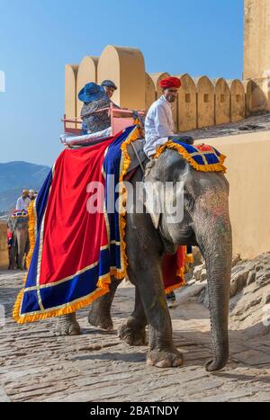 Elephant ride on the path up to the Amber Fort (Amer Fort), Jaipur, Rajasthan, India Stock Photo